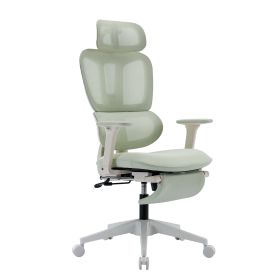 Ergonomic Mesh Office Chair with 2D Adjustable Armrest,High Back Desk Computer Chair,Ergonomic Office Chair with Wheels for Home & Office (Color: Green)